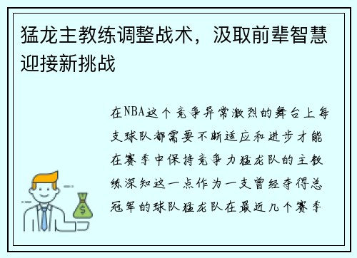 猛龙主教练调整战术，汲取前辈智慧迎接新挑战